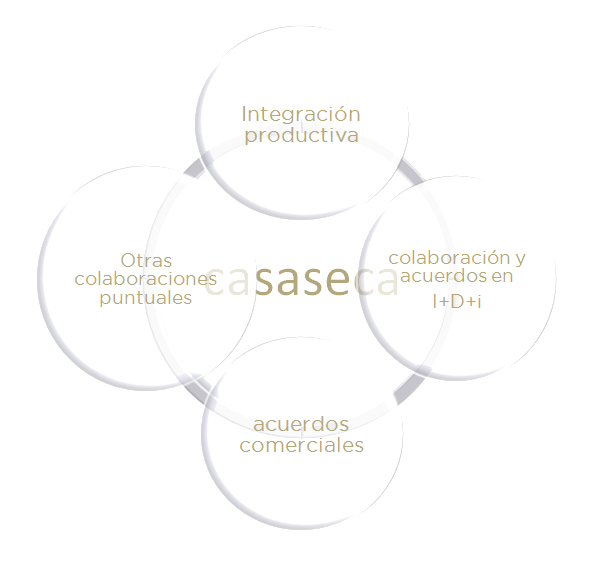 organizacion casaseca